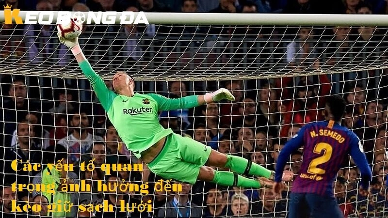 Các yếu tố quan trọng ảnh hưởng đến kèo giữ sạch lưới