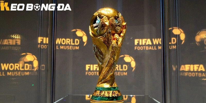 Lịch sử hình thành The FIFA World Cup